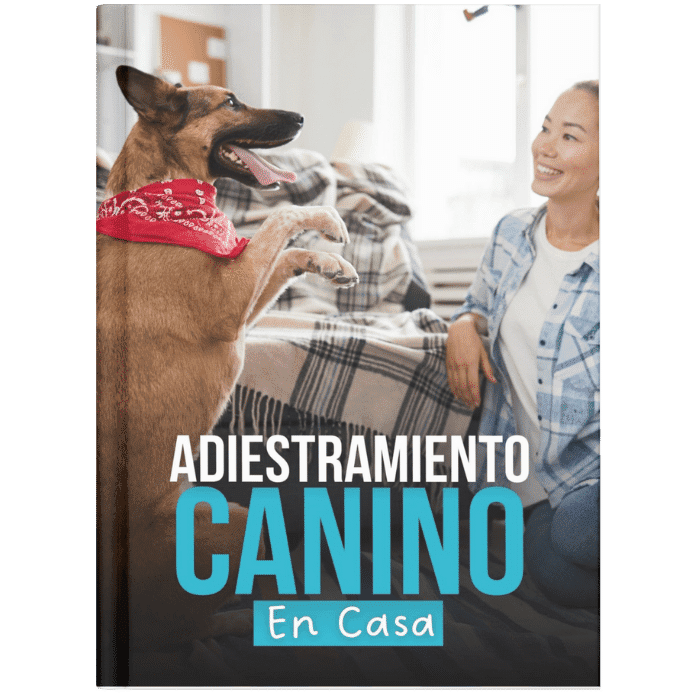 Adiestramiento canino