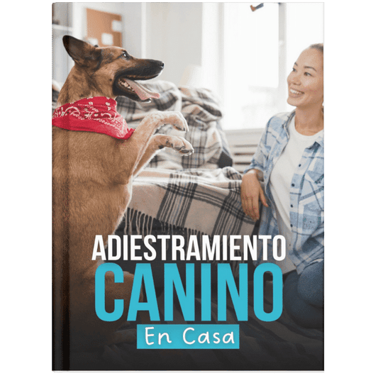 Adiestramiento canino
